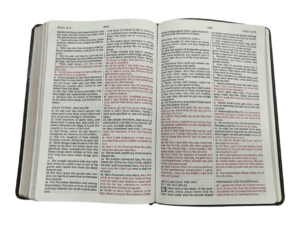 Kjv large print