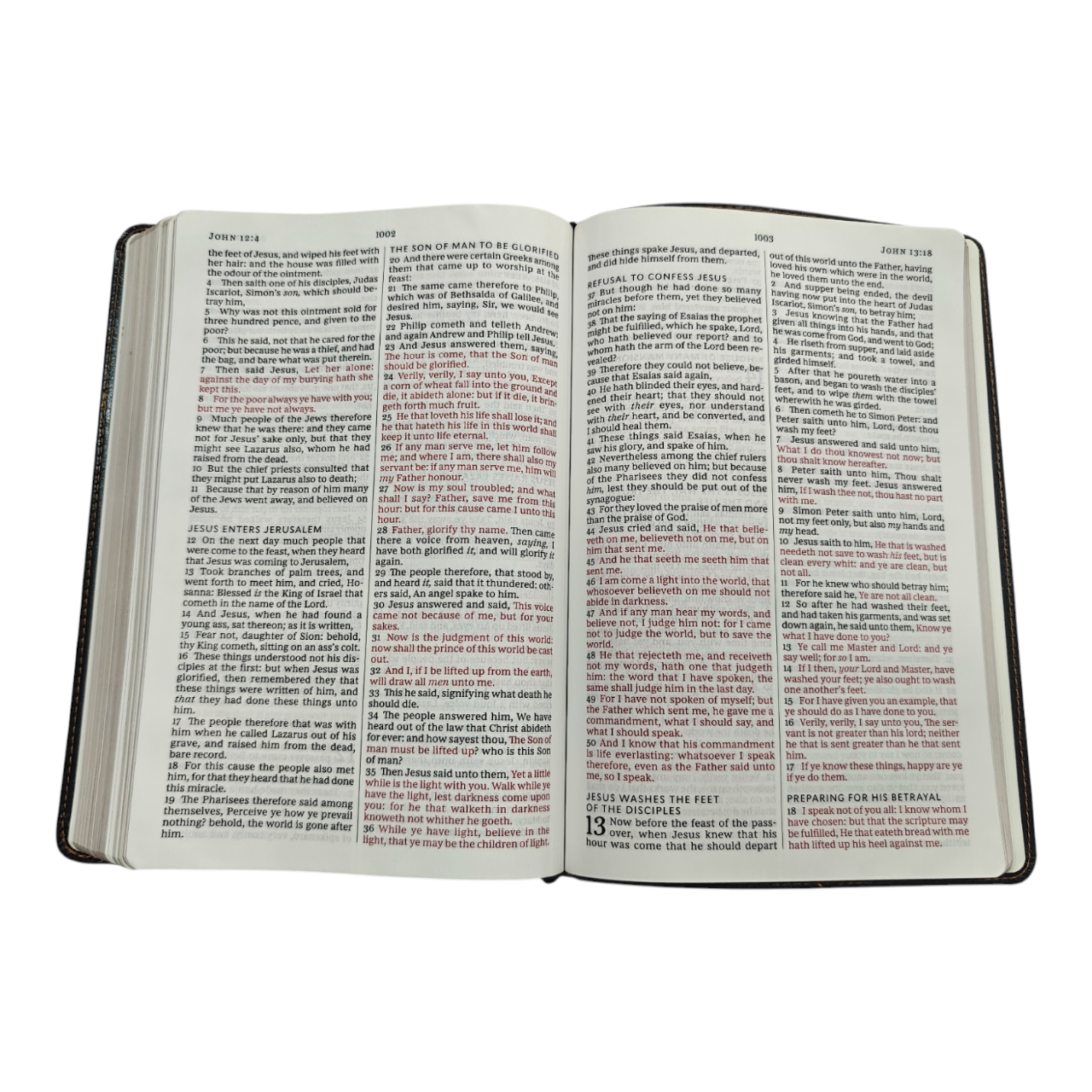 Kjv large print