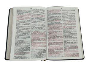 Kjv large print