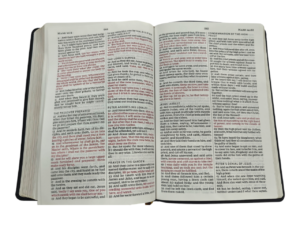 Kjv large print