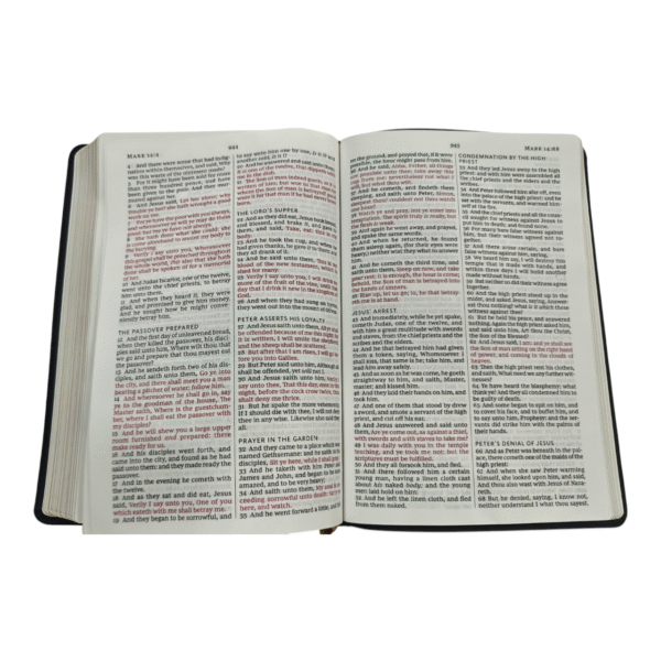 Kjv large print