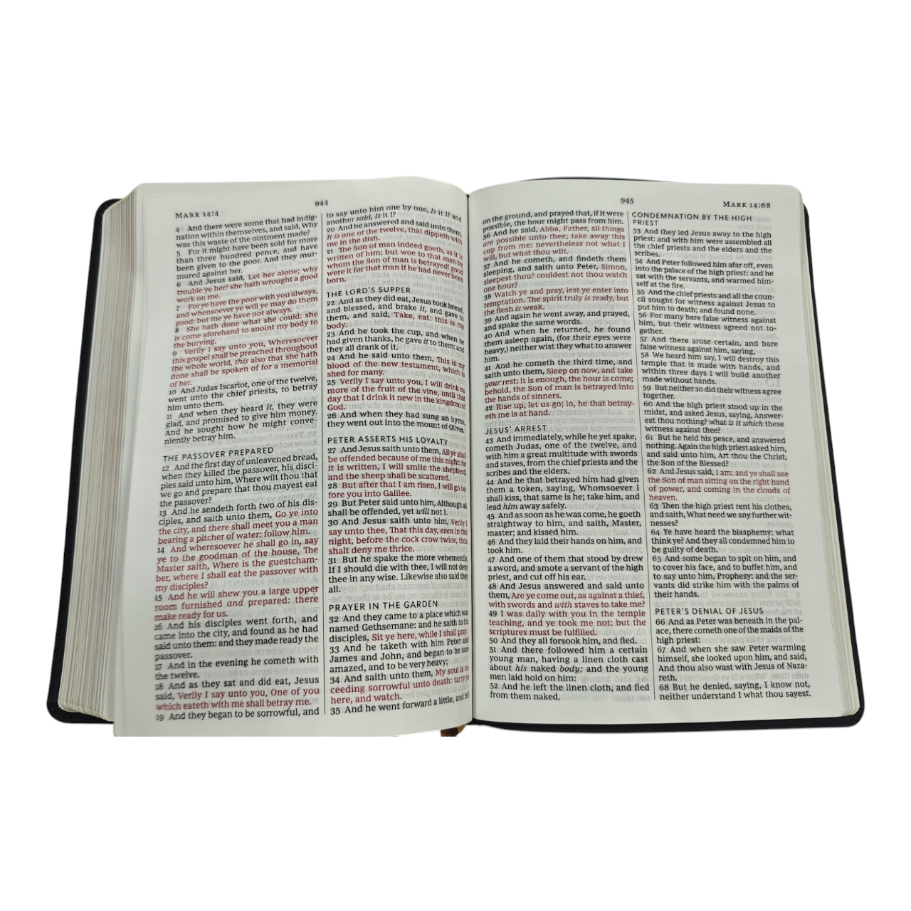 Kjv large print