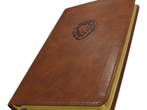 Kjv thinline bible youth edition brown (5)