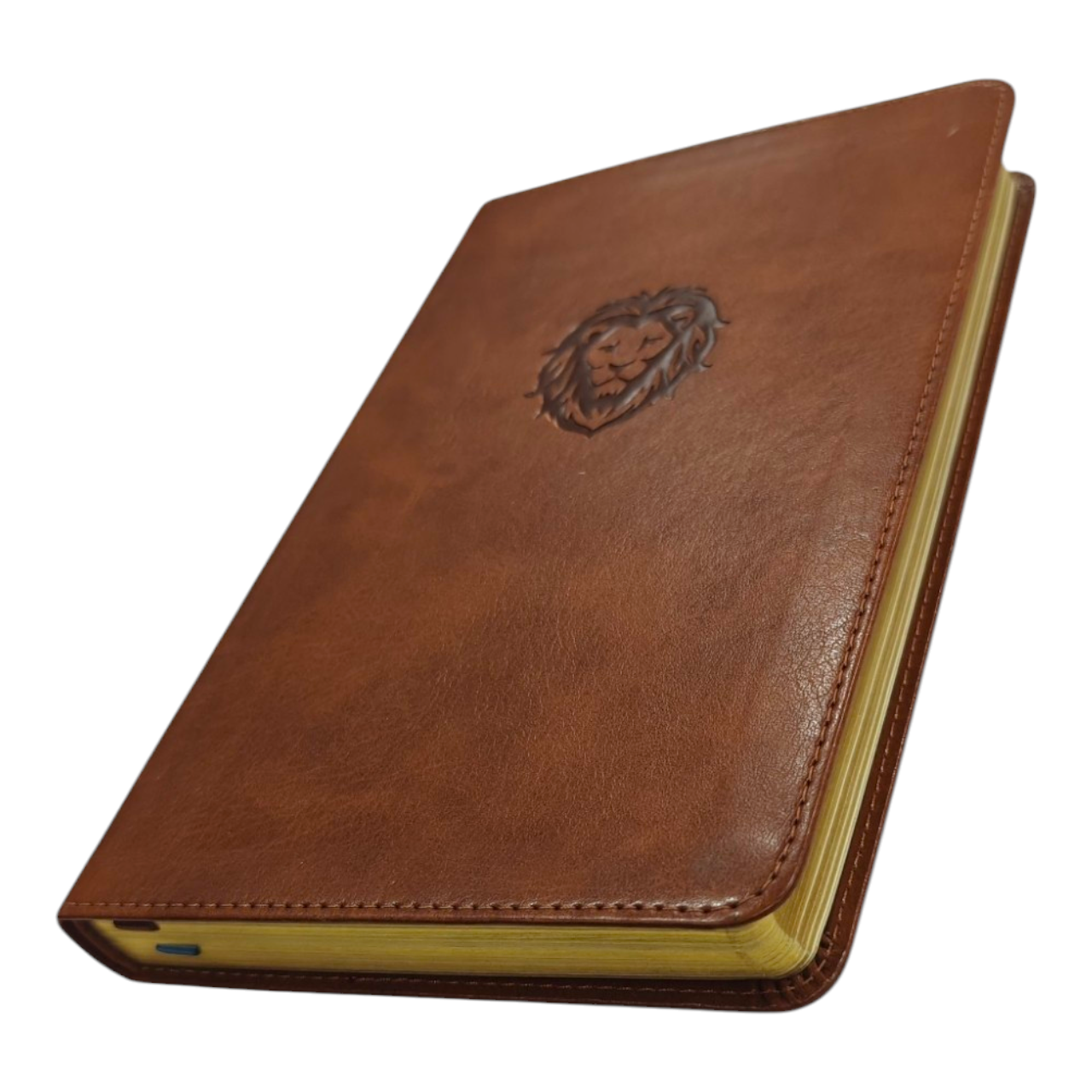 Kjv thinline bible youth edition brown (5)