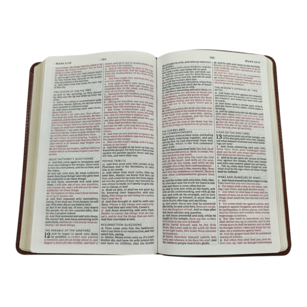Kjv thinline bible youth edition brown (6)