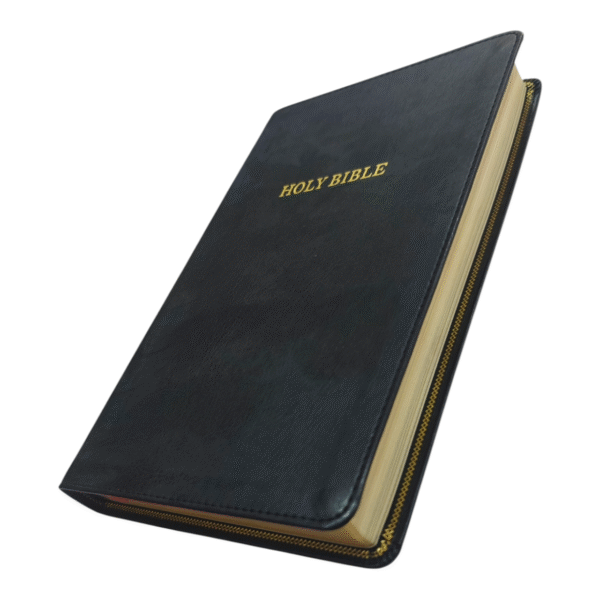 Kjv thinline deluxe reference bible (5)