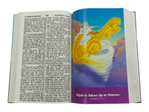Kjv the beginner's