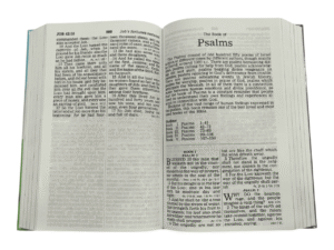 Kjv the beginner'