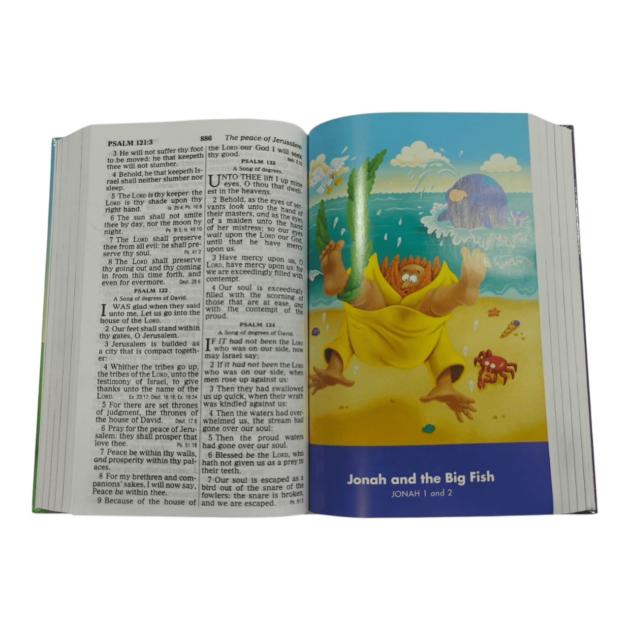 Kjv the beginner's bible holy bible (6)