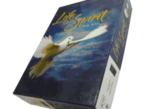 Life in the spirit