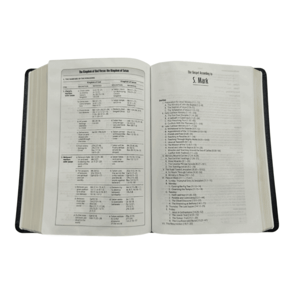 Life in the spirit study bible (3)