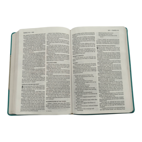 Nasb bible 766 (6)