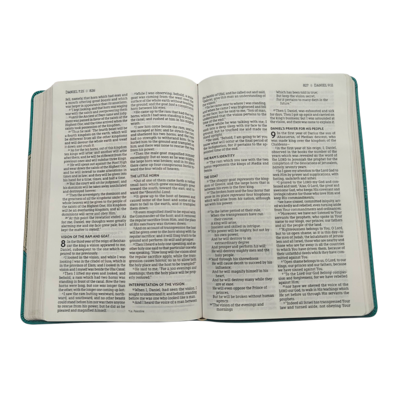 Nasb bible 766 (6)