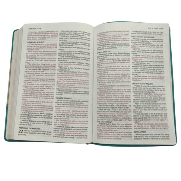Nasb bible 766 (8)