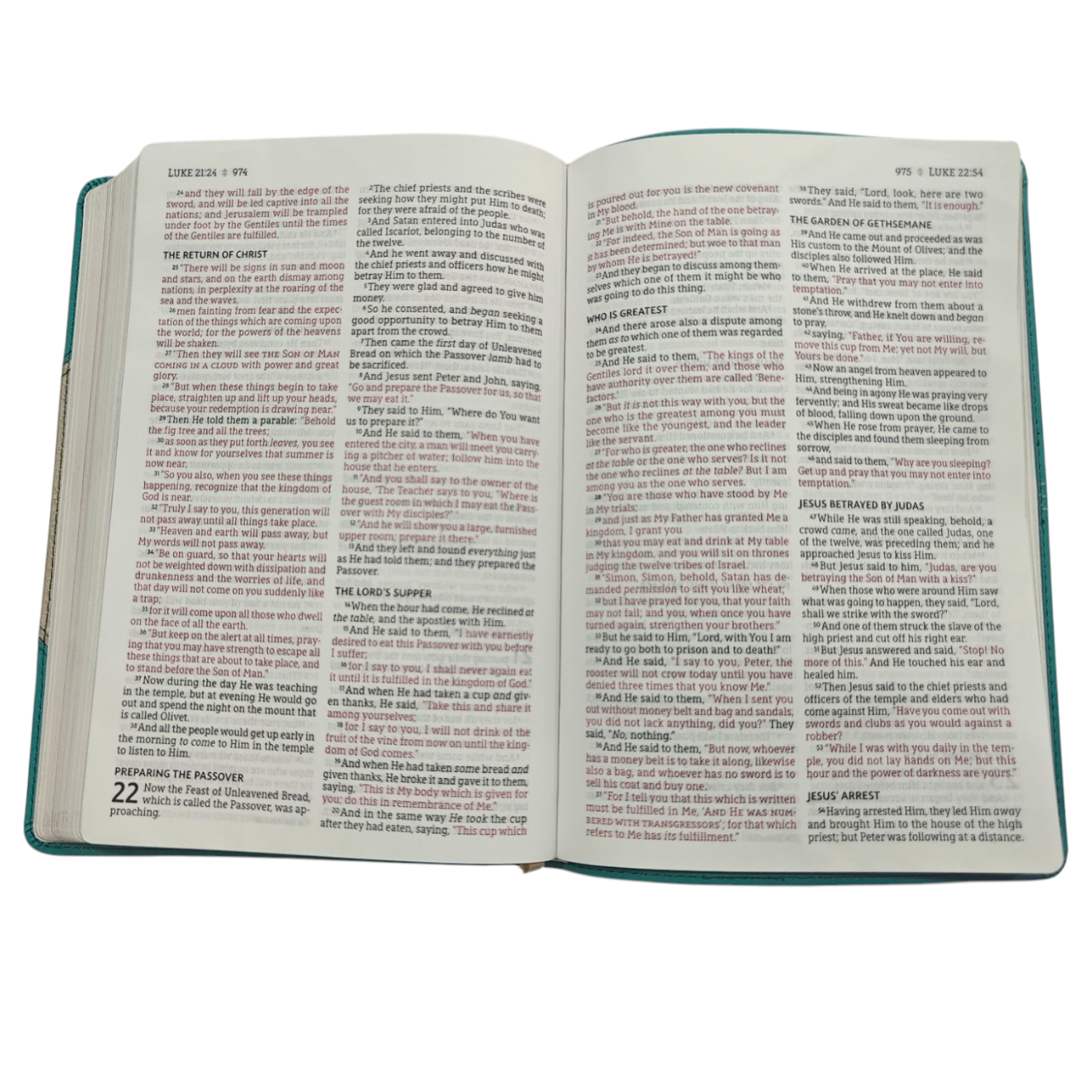 Nasb bible 766 (8)
