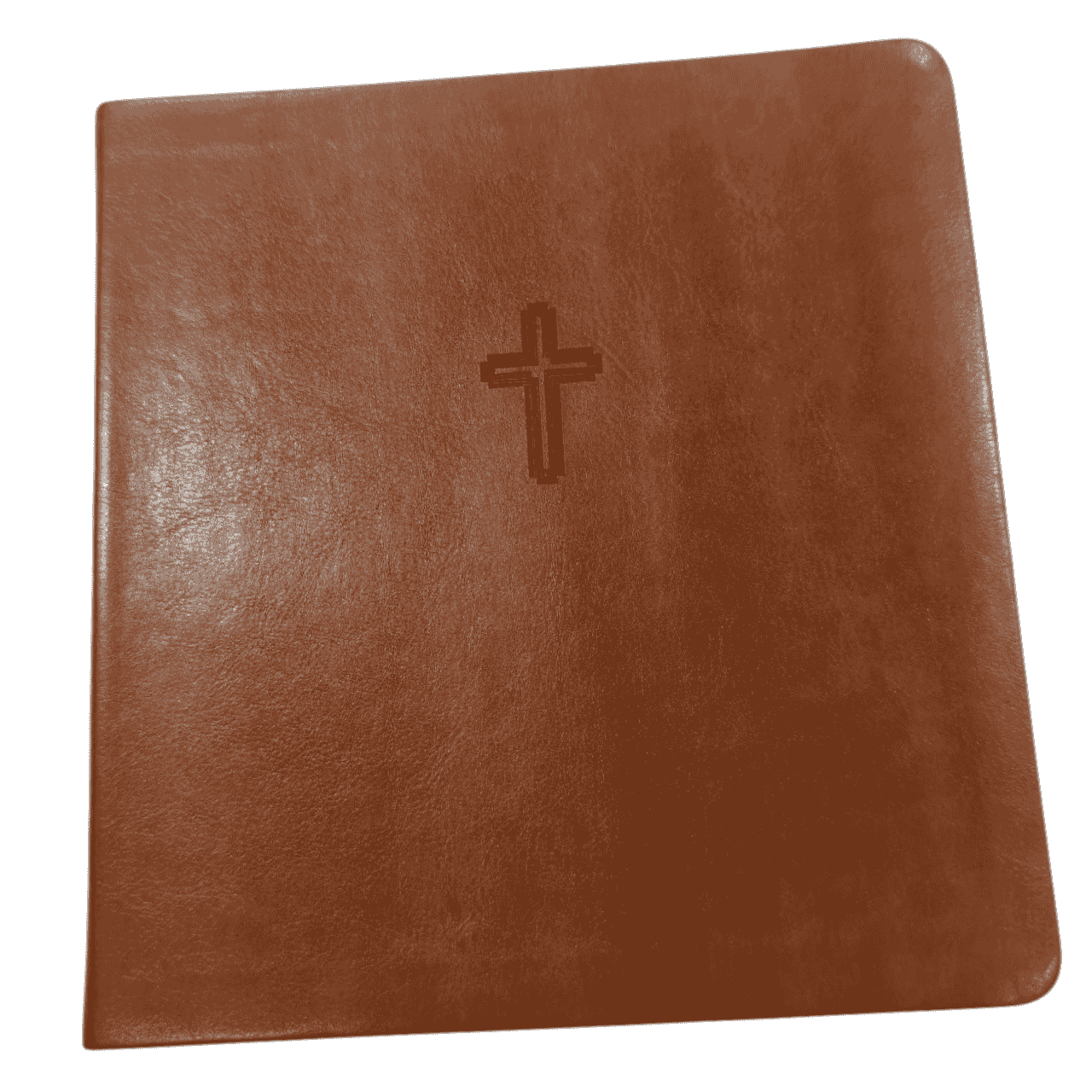 Nasb holy bible