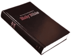 Nasb standard bible (2)