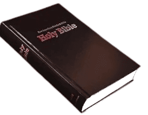 Nasb standard bible (2)