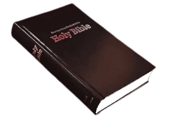 Nasb standard bible (2)