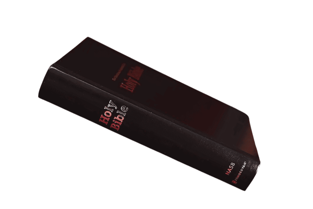 Nasb standard