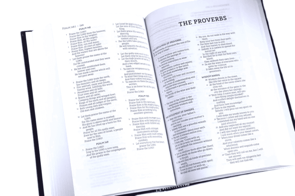 Nasb standard bible (4)