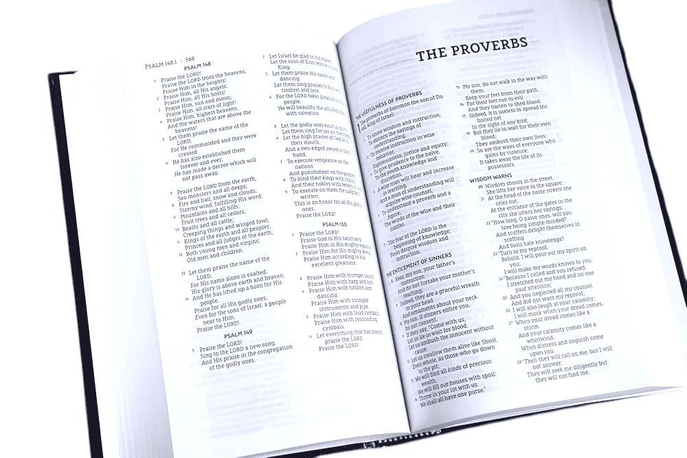 Nasb standard bible (4)