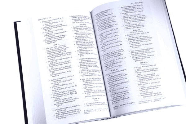 Nasb standard bible (5)