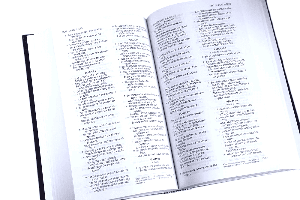 Nasb standard bible (5)