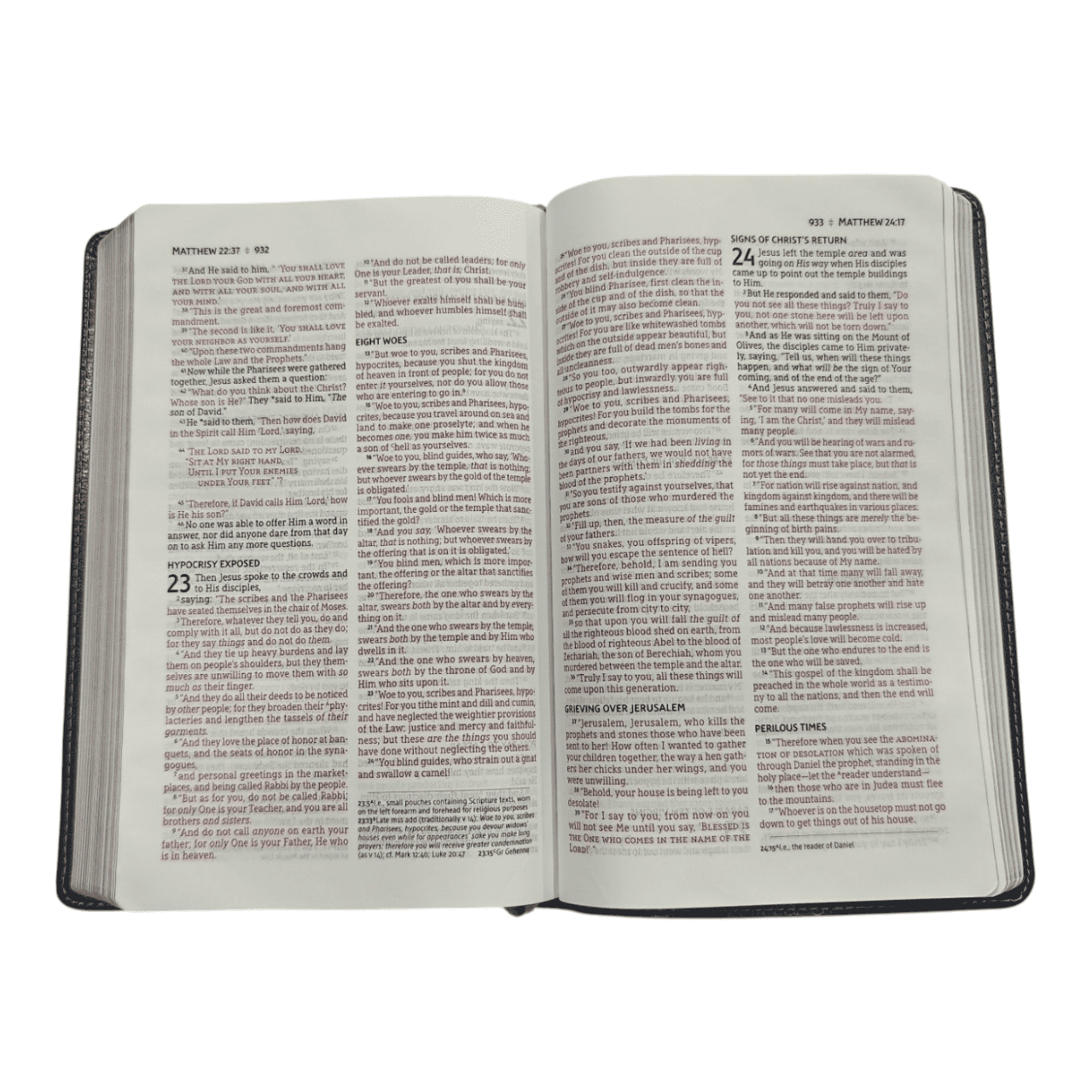 Nasb thinline bible (5)