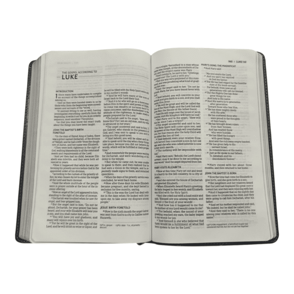 Nasb thinline bible (6)