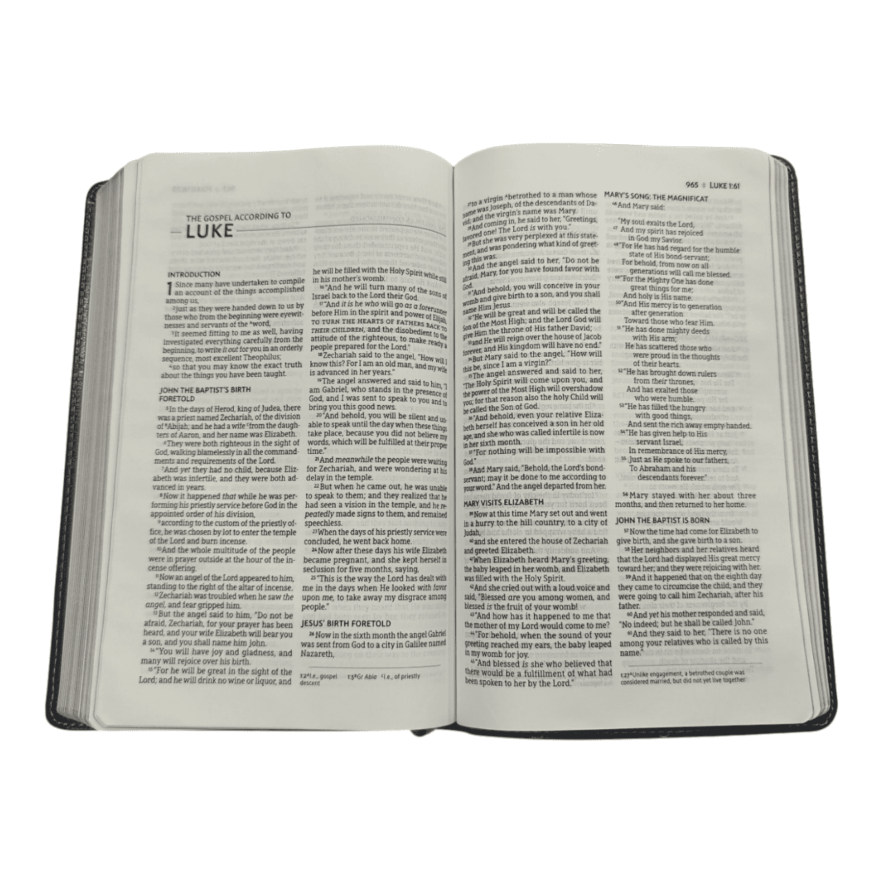 Nasb thinline bible (6)