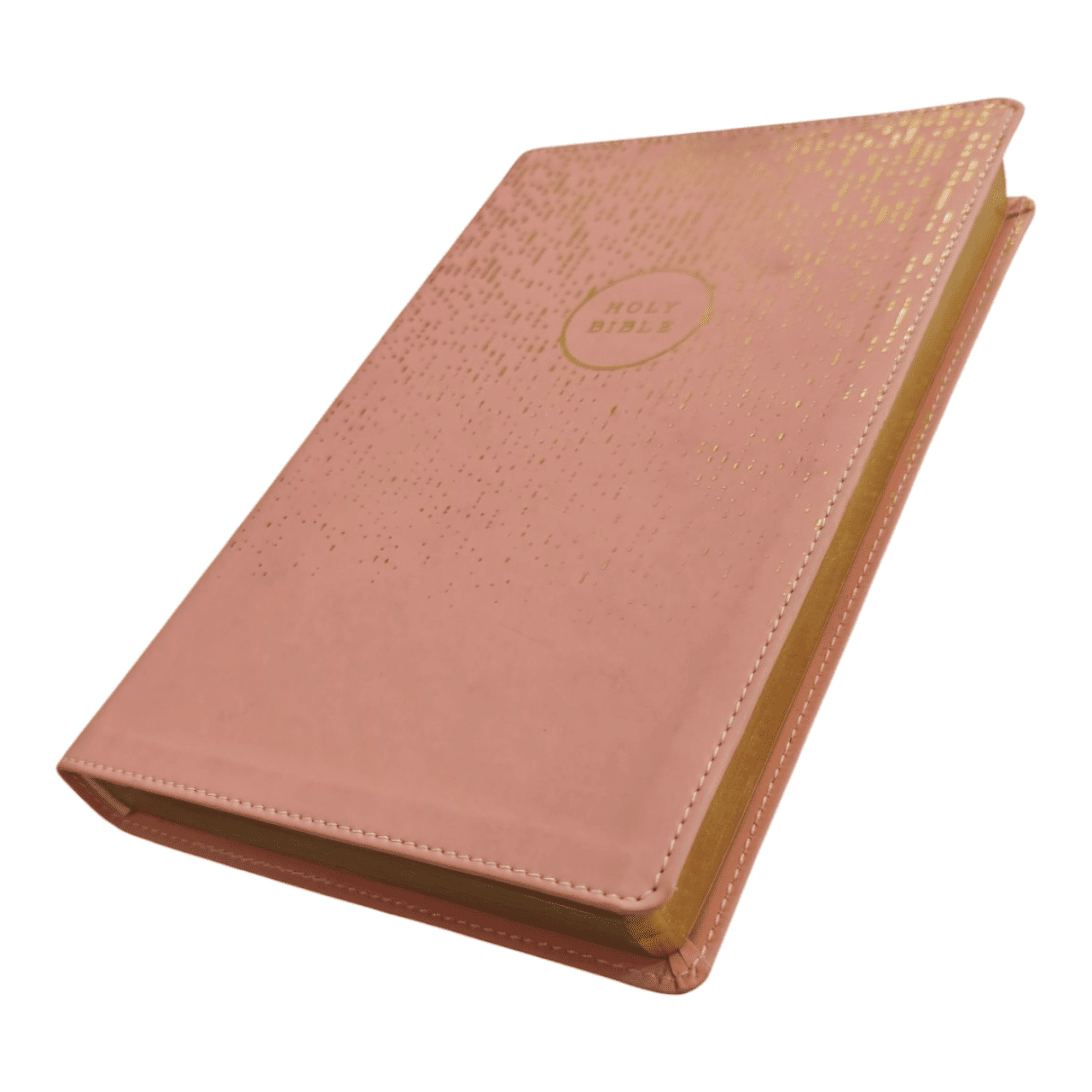 Niv bible for teens thinline edition (4)
