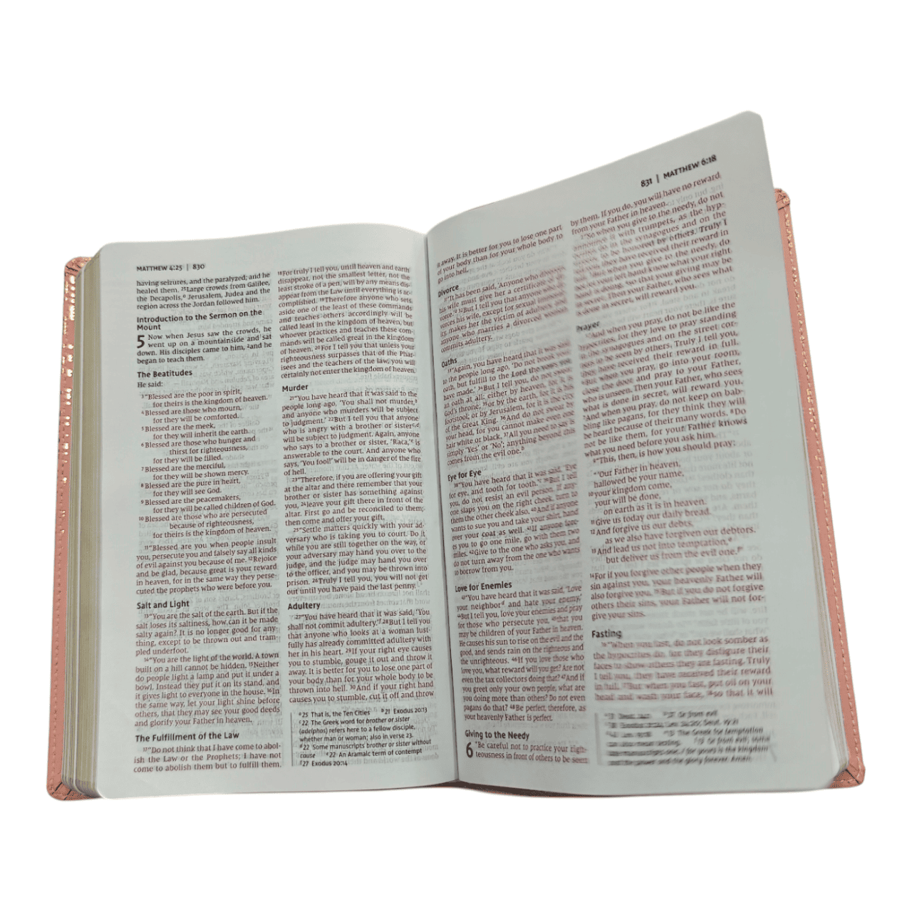 Niv bible