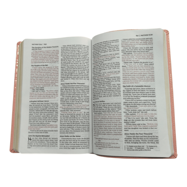 Niv bible for teens thinline edition (7)