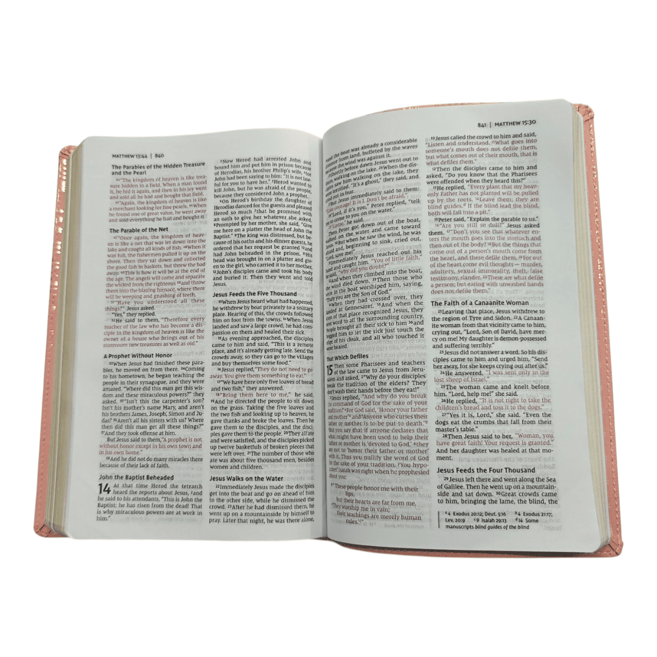 Niv bible for teens thinline edition (7)