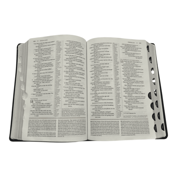 Niv grace truth )