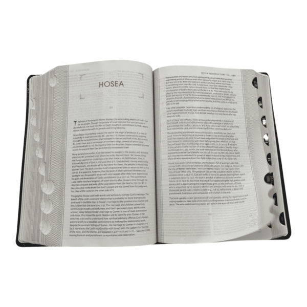 Niv grace truth