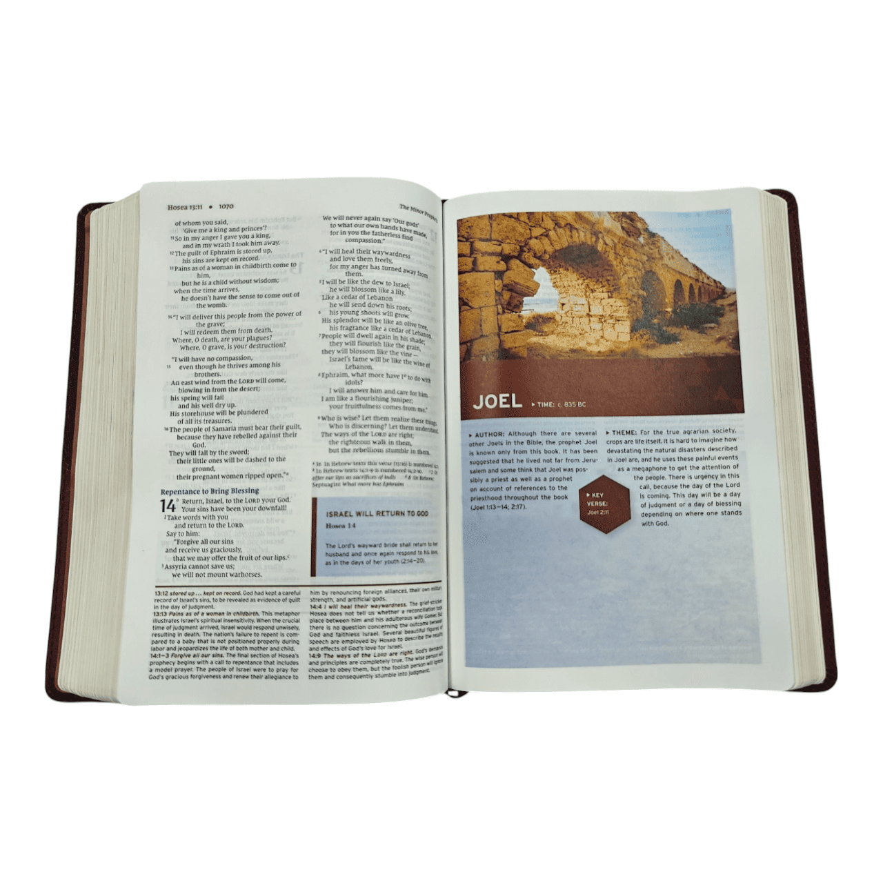 Niv halley's study bible (6)