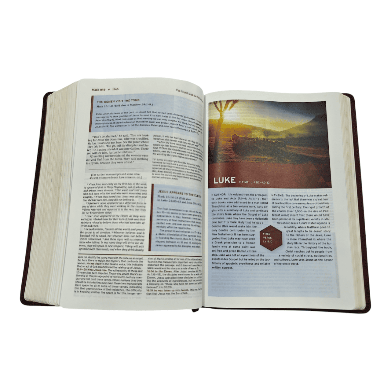 Niv halley's study bible (7)