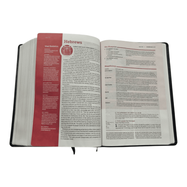 Niv life application