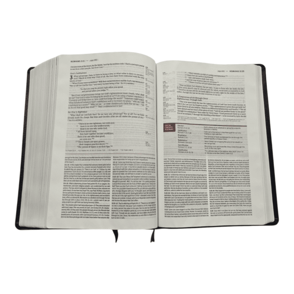Niv life application