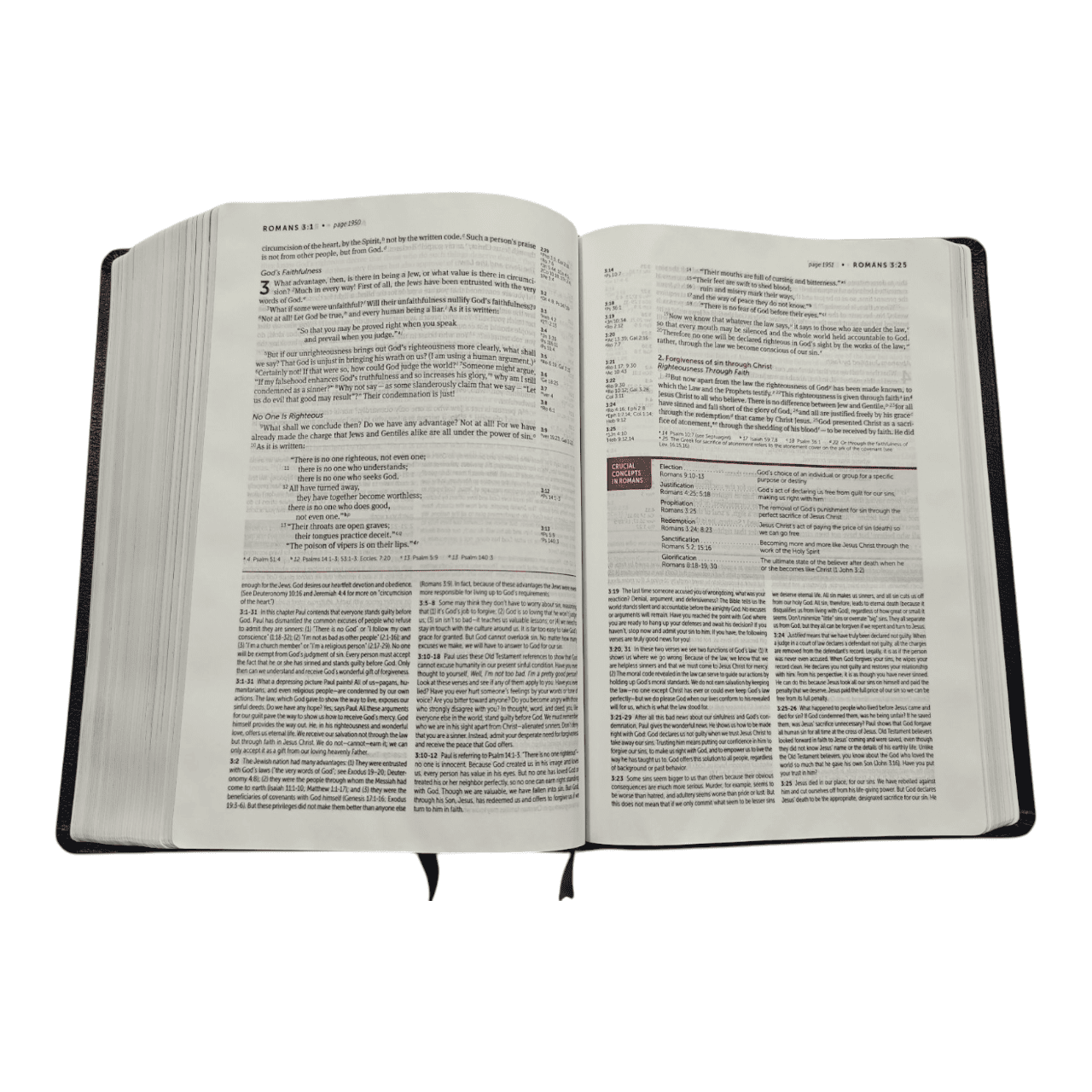 Niv life application