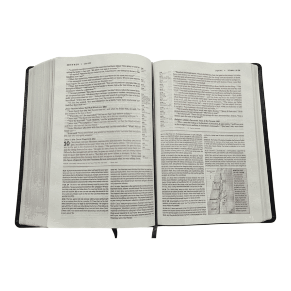 Niv life application