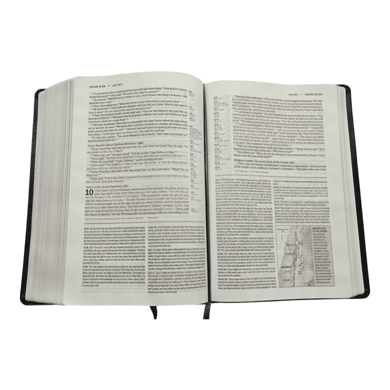 Niv life application