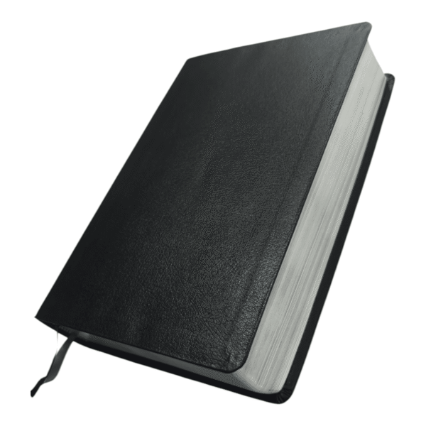 Niv life application