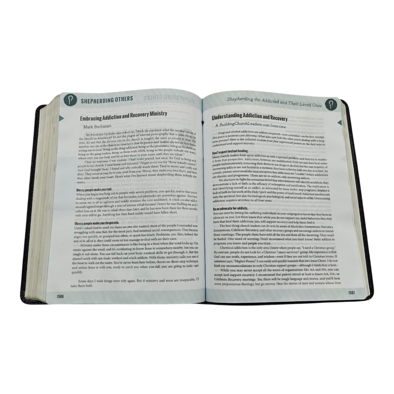Niv ministry 367 (6)