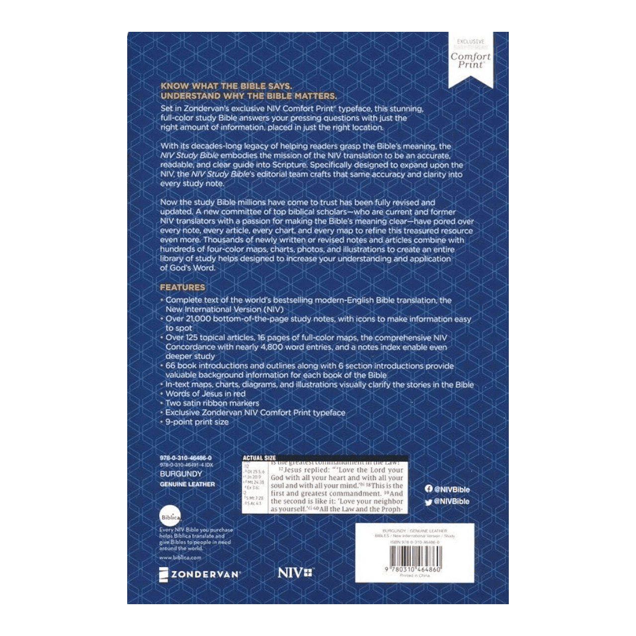 Niv study bible