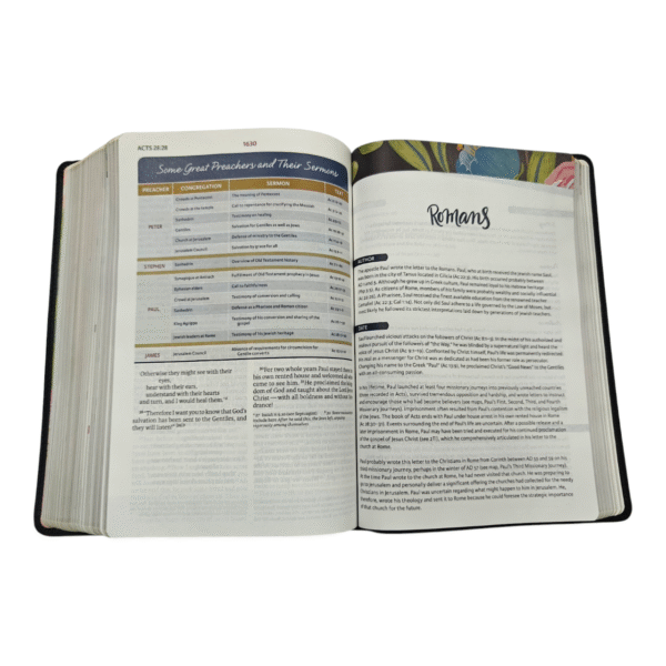 Niv the woman (11)