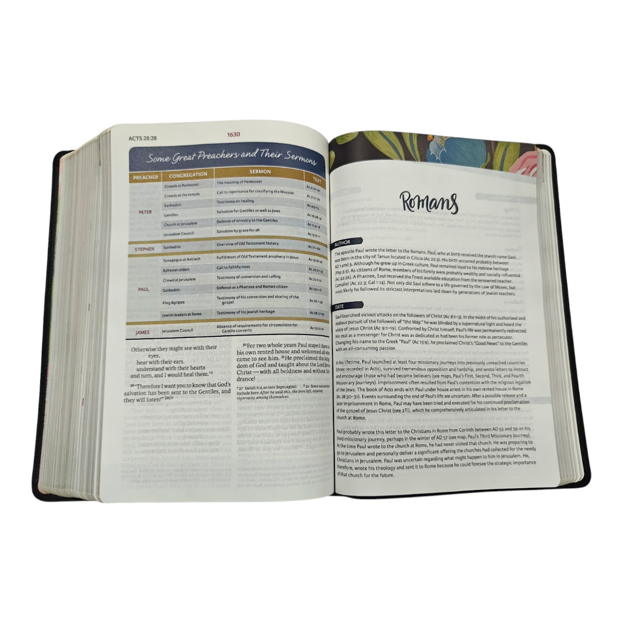 Niv the woman (11)