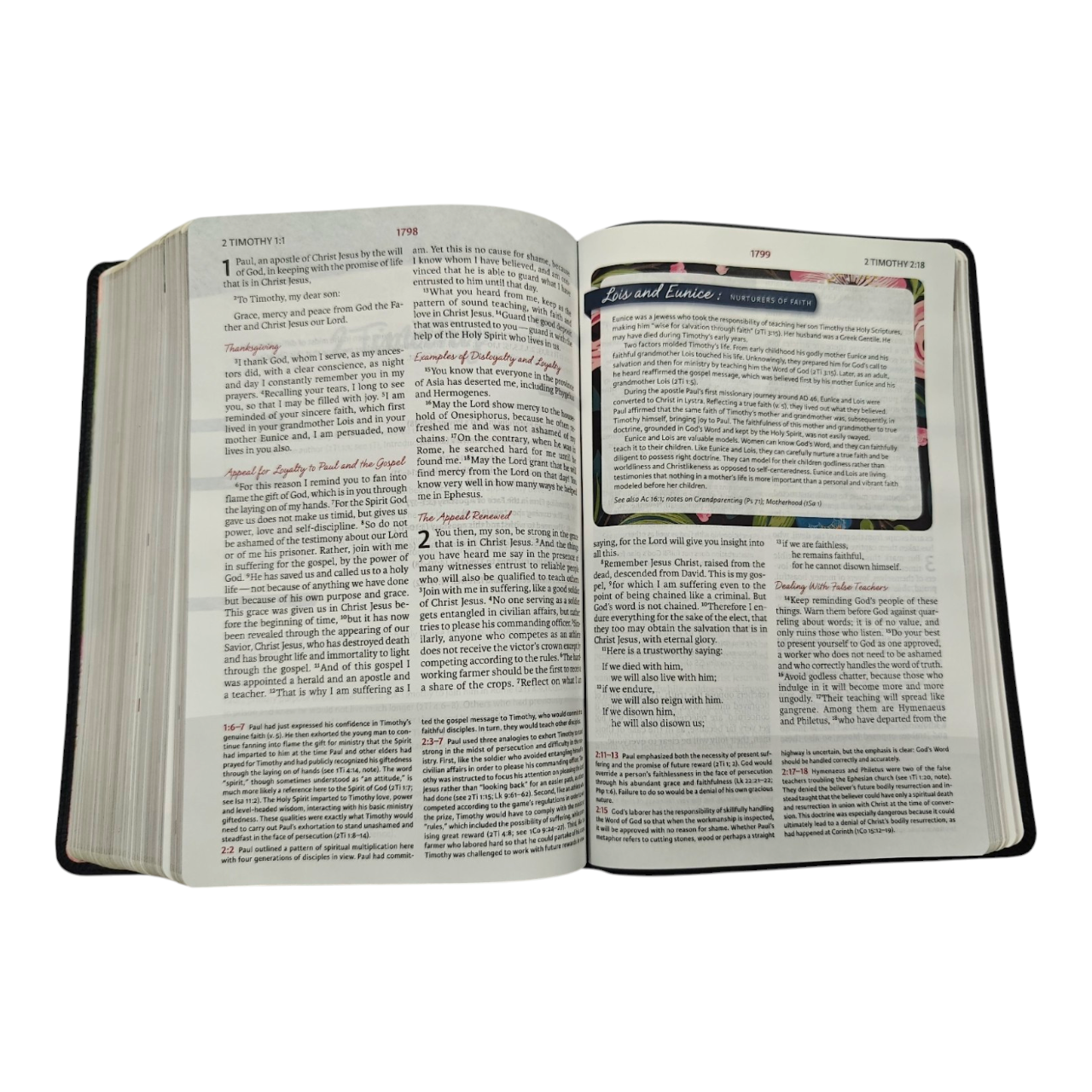 Niv the woman (12)